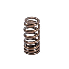 APR Performance Valve Springs