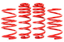 APR Roll-Control Lowering Springs MK8 GTI
