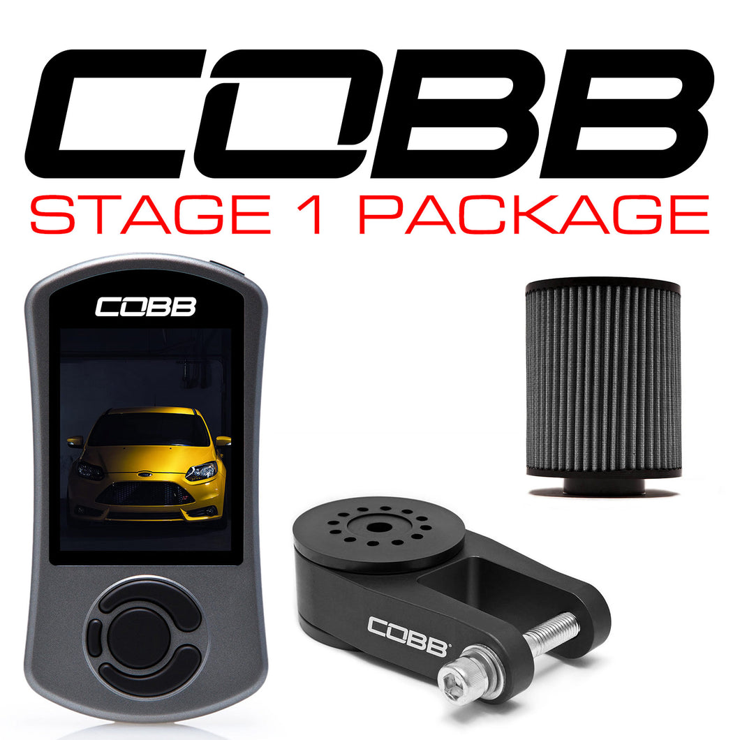 Cobb Stage 1 Focus ST 2013+