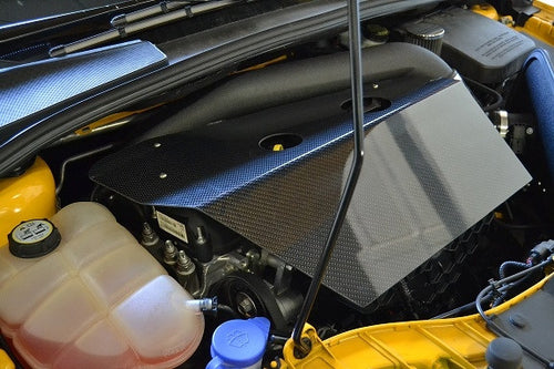 Breedt Ford Focus ST carbon fiber engine cover - Ford Focus ST 2013+ **SOLD OUT**