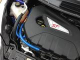 Damond Motorsports Oil Catch Can kit Fiesta ST